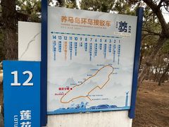 -养马岛旅游度假区