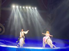 -珠海横琴长隆《卡卡虎奇遇记》