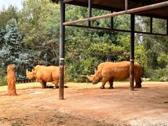 -云南野生动物园