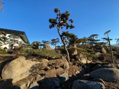 -罗红摄影艺术馆