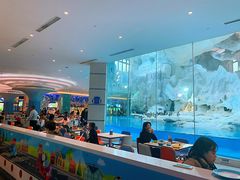 -帝企鹅自助餐厅•儿童岛•真企鹅(长隆企鹅酒店)