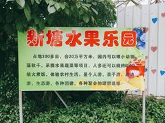 -新塘水果乐园(东洲大道店)