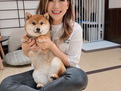 -逗柴咖啡屋·狗咖猫咖宠物桌游