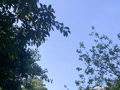 -荔枝公园(福田区)