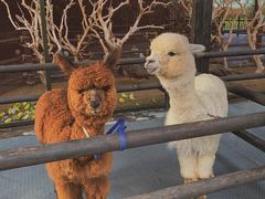 -波塞冬旅游度假区