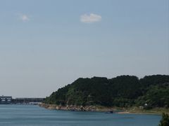 -望湖烤鱼