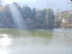 -三塔倒影公园
