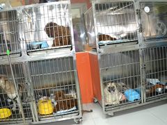 住院部-惠康宠物医院(华能路店)