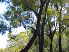 -人民公园(罗湖区)