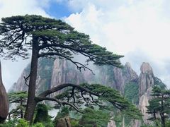 -黄山风景区