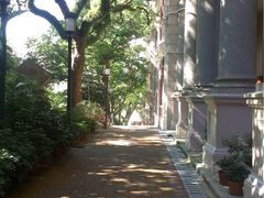 -香港大学