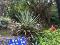 -珠海圆明新园