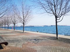 -蜜糖海滩