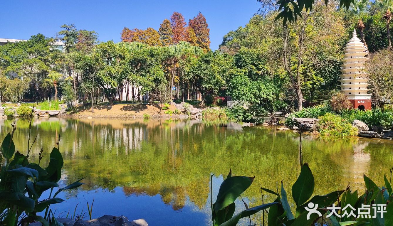 大美新会北园公园