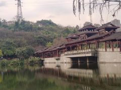 -重庆彩云湖湿地公园