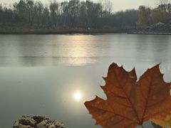 -大兴滨河森林公园