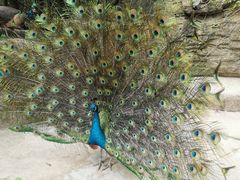 -白云山索道-售票处