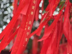 -西双版纳总佛寺
