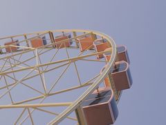 -顾村公园