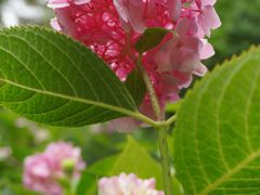 -常州古运河南大街文化旅游区-人民公园