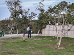 -艾溪湖湿地公园