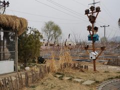 -白桦林温泉谷