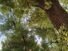 -长沙市青少年宫