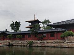 -广富林郊野公园