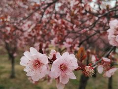 -江苏三台山国家森林公园