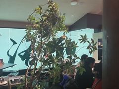 -杏花村水席楼·洛阳水席(老城十字街店)