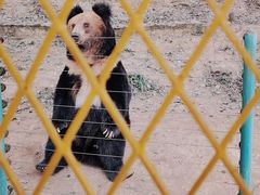 -乐和乐都主题乐园