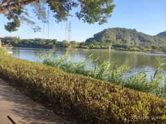 -顺峰山公园
