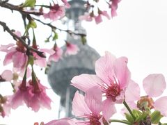 -文华公园(禅城区)