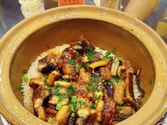 -红星光发煲仔饭(文海店)