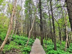 -白草畔自然风景区