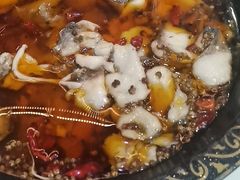 -金三可市井水煮鱼(金碧园店)