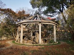 -叶家花园