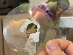 -立德异宠动物医院.兔鸟爬.内窥镜(天河店)