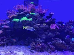 -多彩贵州城极地海洋世界