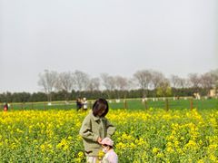 -汉长安城未央宫国家考古遗址公园