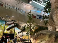 -湖南省地质博物馆