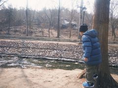 -白水寺森林公园