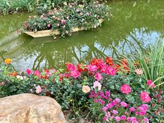 -人民公园(罗湖区)