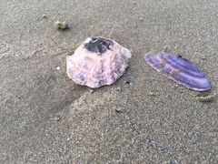 -乡味海鲜农家菜·巽寮土窑鸡(地道美食店)