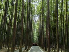 -山王坪喀斯特国家生态公园