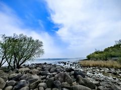 -上海吴淞炮台湾国家湿地公园