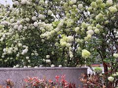 -大龙山(地铁站)