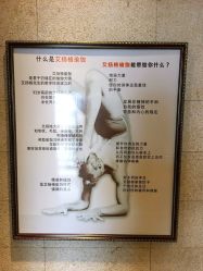 -广州萨谛艾扬格瑜伽中心