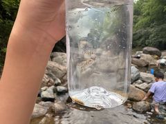 -井空里大峡谷