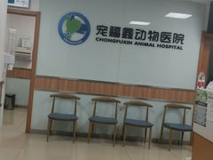 -宠福鑫动物医院(城北分院)